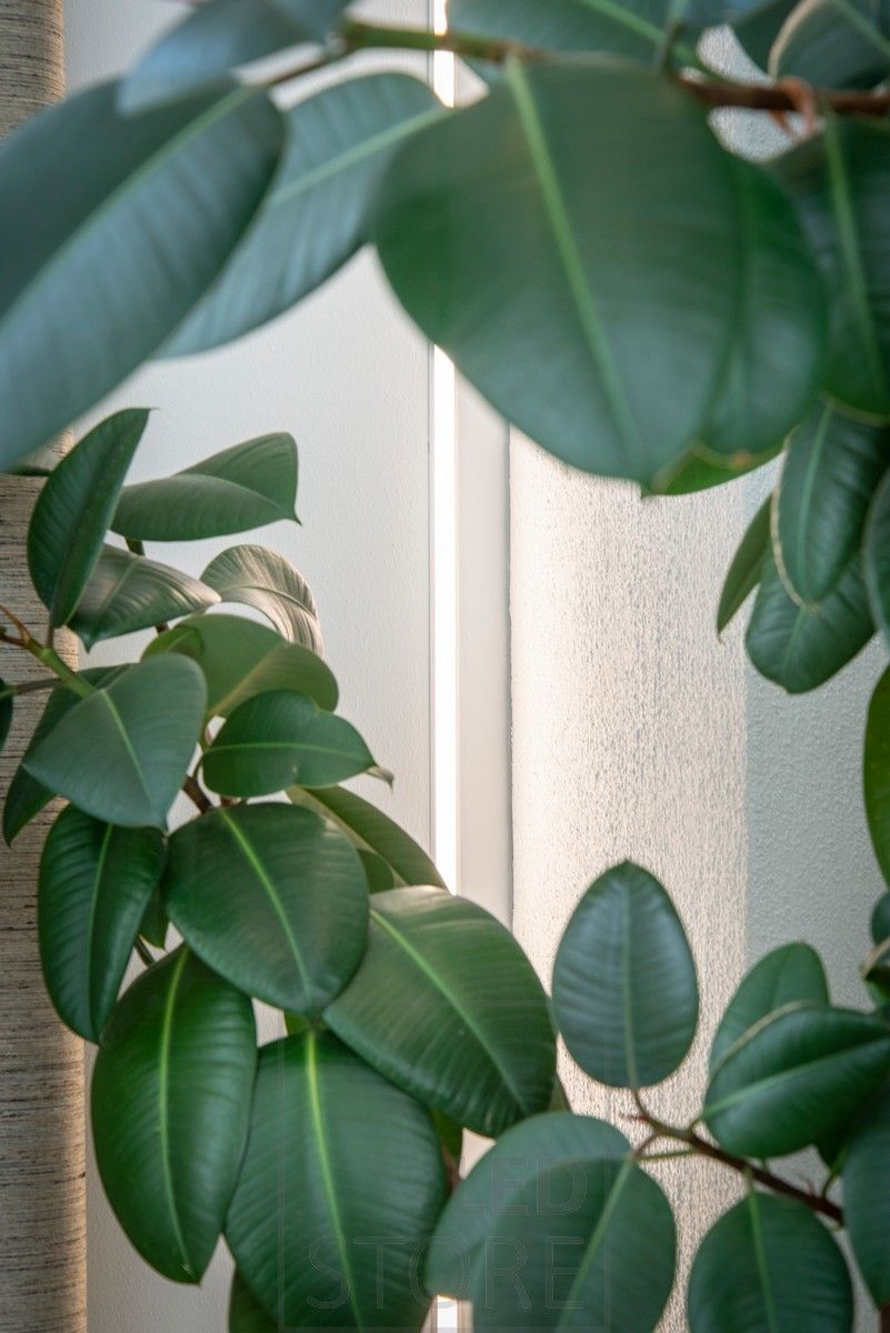 Kapeassa uppoprofiilissa seinään upotettu kasvivalo. Led nauha profiilissa toimii loistavasti kasvivalona erinomaisen väritoistoindeksinsä ansiosta. Ledstore.fi